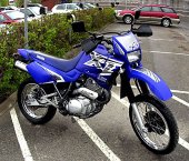 1999 Yamaha XT 600 E photo